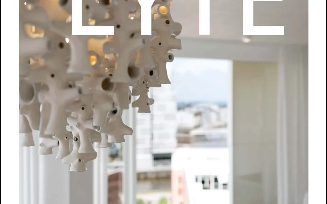 THE LYTE SALT2